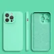 Apple iPhone 13 Pro Max 6.7\'\' Silicone Color Case Cover, Mint Green | Silikona Vāciņš Maciņš Apvalks Bampers
