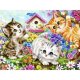 Maaleo Paint by Numbers Kit Kittens, 40x50 cm