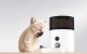 Smart Pet Feeder Petoneer NutriVue PF008 with 1080p Camera & Stainless Bowl