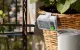 RainPoint IK153 Indoor Irrigation Pump Kit