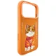 Чехол Nimmy Glasses Cool Cat для iPhone 17 Pro, оранжевый