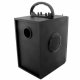 Portable Bluetooth Speaker with FM Radio Remote and Karaoke Mic Input, Black