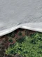 Agroplēve ORTOCLIMA 1.60 x 10 m, 17 g/m², balta