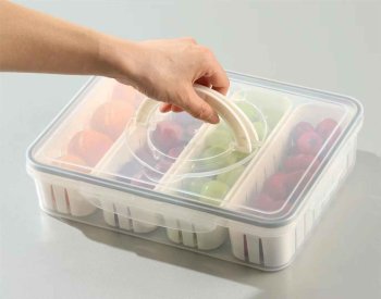 Divided Food Storage Container with Drainer and Handle, Clear