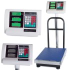 Electronic Warehouse Platform Scale 30x40 cm, 100 kg Capacity, Silver