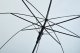 Malatec Transparent Automatic Umbrella, White