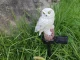 LED Solar Garden Light Owl, Ground Spike, 43 cm