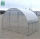 Siltumnīca KLASIKA EASY 3x2 m (6 m²), ar 4 mm polikarbonātu