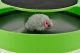 Игрушка для кошек с мышкой и когтеточкой