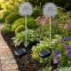 Solar Garden LED Lamps Dandelion Firework 70cm, Warm Light, 2 Pcs