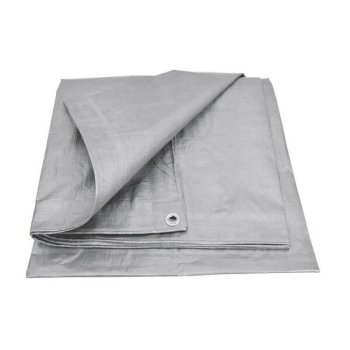 Tents pārklājs 10 × 15 m, 120 g/m², sudraba