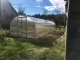 Теплица Кlasika 24 (3X8M) С Фундаментом И Покрытием Из Поликарбоната...