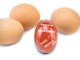 Kitchen Egg Cooking Boiling Timer with Hardness Indicator