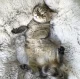 Круглая лежанка для домашних животных, 50 см, серая