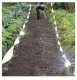 Repest Holographic Bird Repellent Tape 80m