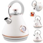 Berdsen BD-701 Electric Kettle with Thermometer, 1.7 L, White
