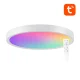 Smart Ceiling Lamp Gosund LB12 30cm WiFi/Bluetooth RGBCW with Remote Control