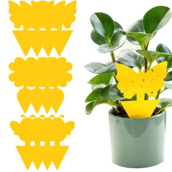 Жёлтый клейкий ловец для горшков от сциарид и мошек, 12 штук,...