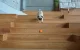 Cheerble Ball Gudrā Bumba Ripulis Spēļmanta Mājdzivniekiem Sunim Kaķim, Oranžs | Smart Sensor Play Ball Toy with...