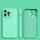 Apple iPhone 13 Pro Max 6.7\'\' Silicone Color Case Cover, Mint Green