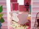 Liela Bērnu Spēļu MDF Koka Leļļu Māja ar Mēbelēm Piederumiem 70cm, Rozā | Play Dollhouse with Furniture