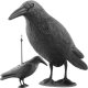 Realistic Raven Bird Scarer Decoy for Gardens and Balconies