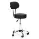 Adjustable Rolling Swivel Salon Stool with Backrest ModernHome, Black