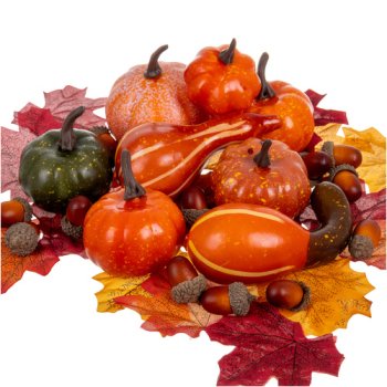 Ruhhy 50 pcs Autumn Decoration Set, Multicolour