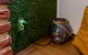 Viedā rozete Shelly Plug S MTR Gen3 Matter Wi-Fi 2500W (Balta)