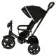 Ikonka TRIKE FIX Elite 2-in-1 trīsritenis / ratiņi, melns