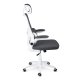 Ergonomic Mesh Office Chair Sofotel Formax, Graphite