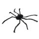 Malatec 90cm Large Artificial Spider Halloween Decoration, Black