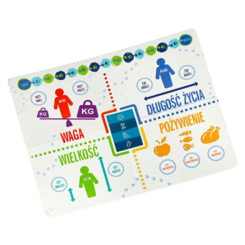 Izglītojoša galda spēle Pa pēdām par dzīvniekiem 8+ Alexander