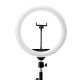 Glow Ring Lamp 10\" Bsc With Tripod 10W
