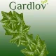 Искусственный плющ Gardlov, гирлянда 50,4 м, зеленый