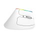 Беспроводная вертикальная мышь Delux M618C 2.4G 1600DPI RGB (белая)