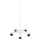 Sejas tvaicētājs Azzurro H1107 Sonia