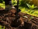 Садовый земляной бур для посадки растений на дрель 25 см, черный
