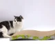 Horizontāls kartona kaķu nagu asināmais, skrāpis / Gulta, sols kaķiem | Cat Horizontal Cardboard Scratching Post