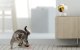 Умный лазер для собак и кошек Petoneer Smart Dot
