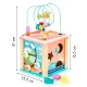 Деревянный развивающий куб ECOTOYS Dino с лабиринтом и сортером