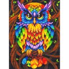 Dimantu Mozaīkas Komplekts Rokdarbs Glezna 5D Pūce, 30x40 cm | Diamond Mosaic Kit