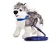 Classic leash with adjustable collar for dogs and cats, 120 cm, blue