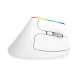 Bezvadu vertikālā pele Delux M618C 2.4G 1600DPI RGB (balta) | Wireless Vertical Mouse (white)