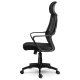 Ergonomic Office Chair Sofotel Praga with Mesh Back and Headrest, Black
