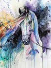 Diamond Mosaic Embroidery Kit Painting 5D Horse 30x40 cm