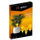 Repest 19053 Sticky Insect Traps, 12 pcs