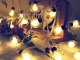 Solar garden string lights with 20 warm LED bulbs