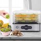 Carruzzo Food Dehydrator / Vegetable Dryer, 240 W