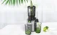 Amzchef SJ-036-GA Slow Juicer, Gray